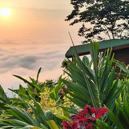 Minca Sintropia - Sustainable Lodge & Organic Coffee Finca エクステリア 写真