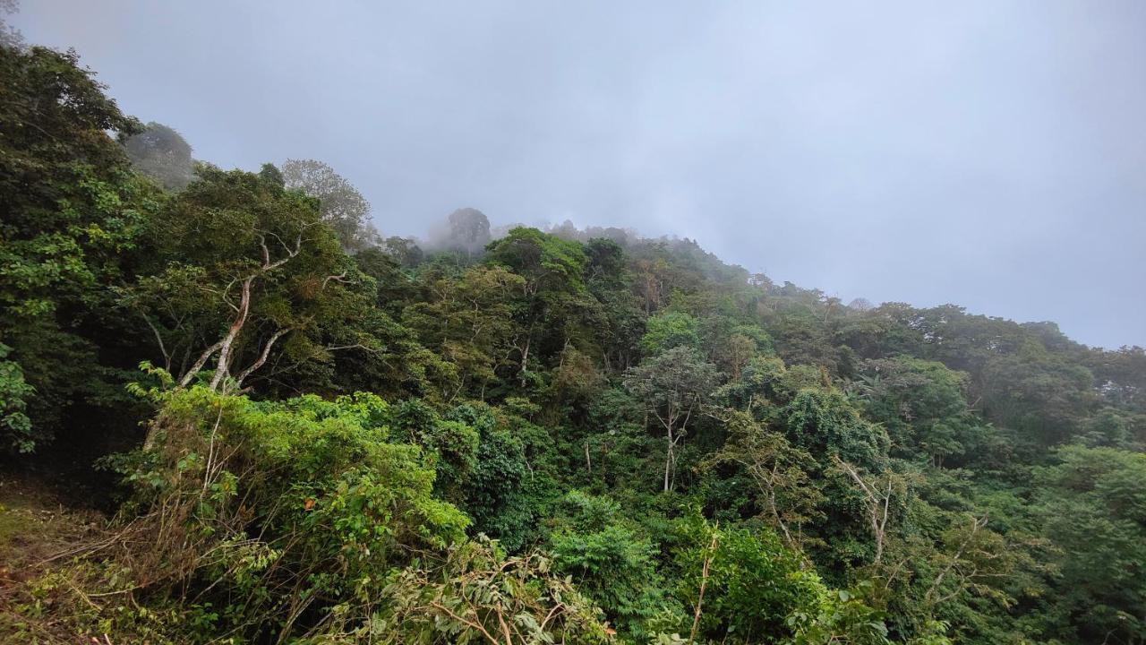 Minca Sintropia - Sustainable Lodge & Organic Coffee Finca エクステリア 写真