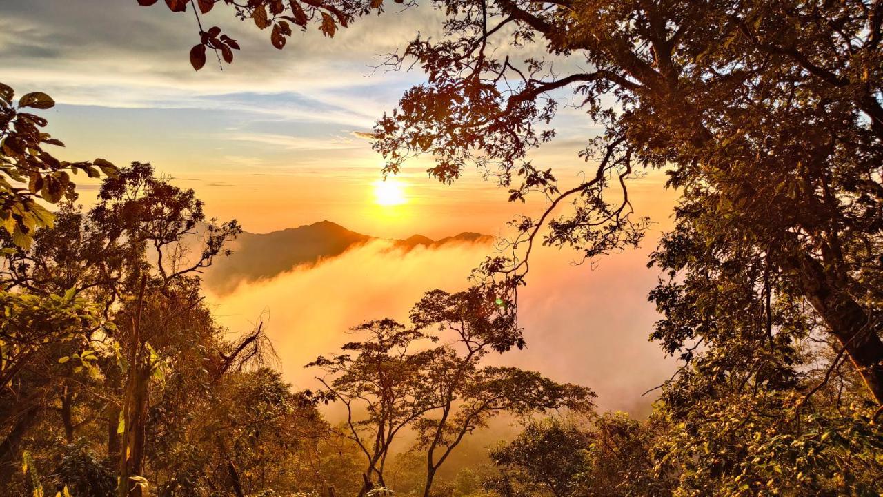 Minca Sintropia - Sustainable Lodge & Organic Coffee Finca エクステリア 写真