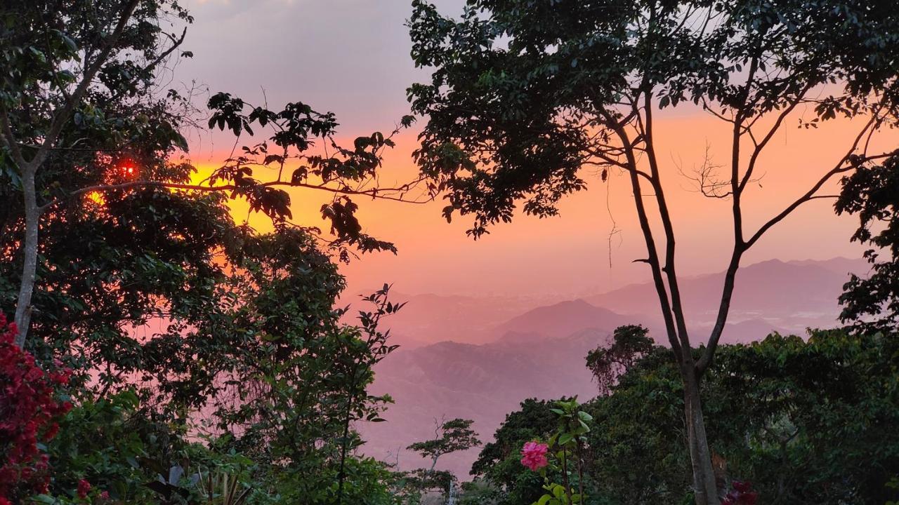 Minca Sintropia - Sustainable Lodge & Organic Coffee Finca エクステリア 写真