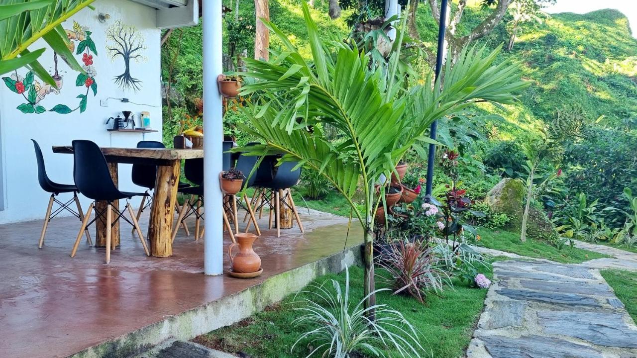 Minca Sintropia - Sustainable Lodge & Organic Coffee Finca エクステリア 写真
