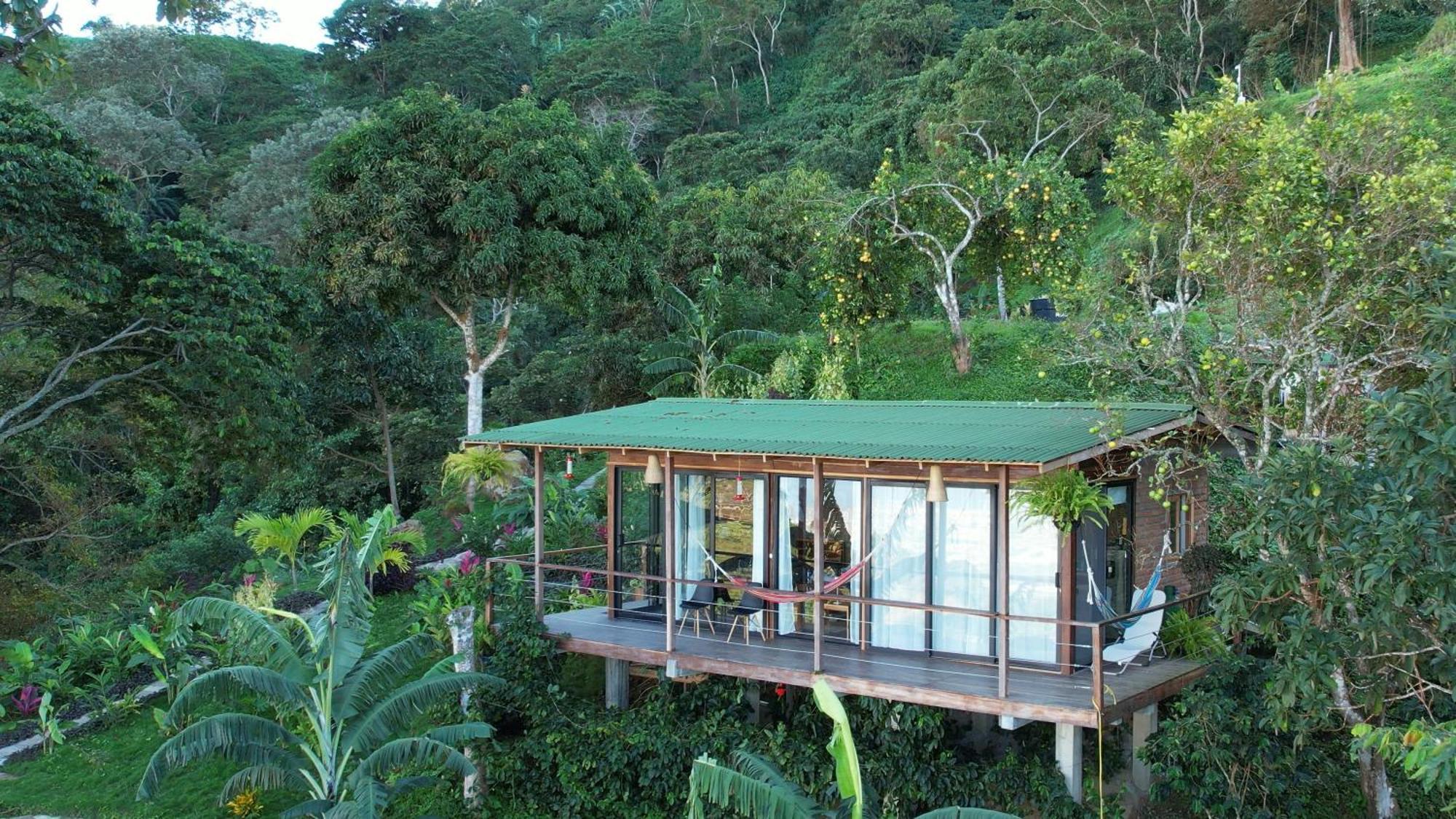 Minca Sintropia - Sustainable Lodge & Organic Coffee Finca エクステリア 写真