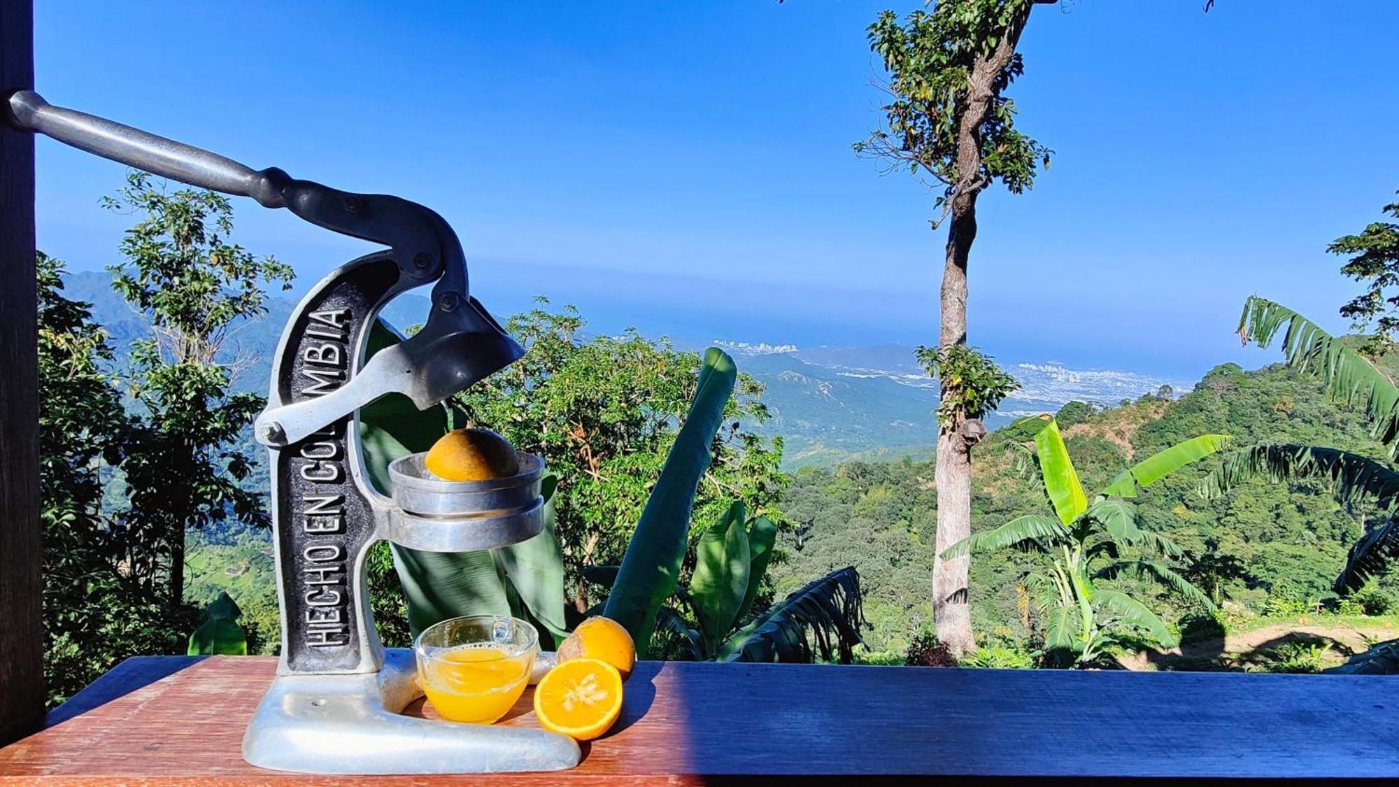 Minca Sintropia - Sustainable Lodge & Organic Coffee Finca エクステリア 写真
