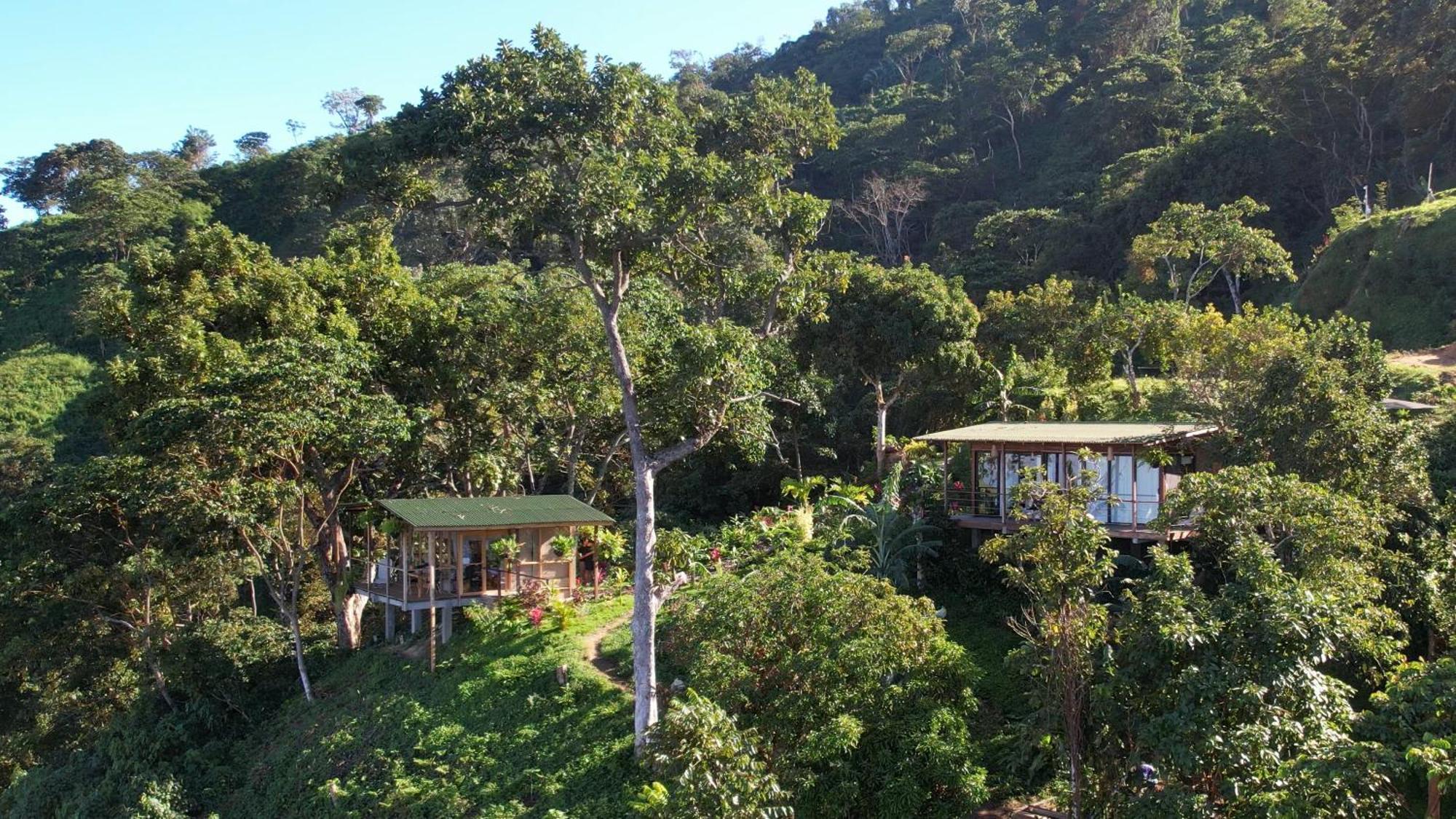 Minca Sintropia - Sustainable Lodge & Organic Coffee Finca エクステリア 写真
