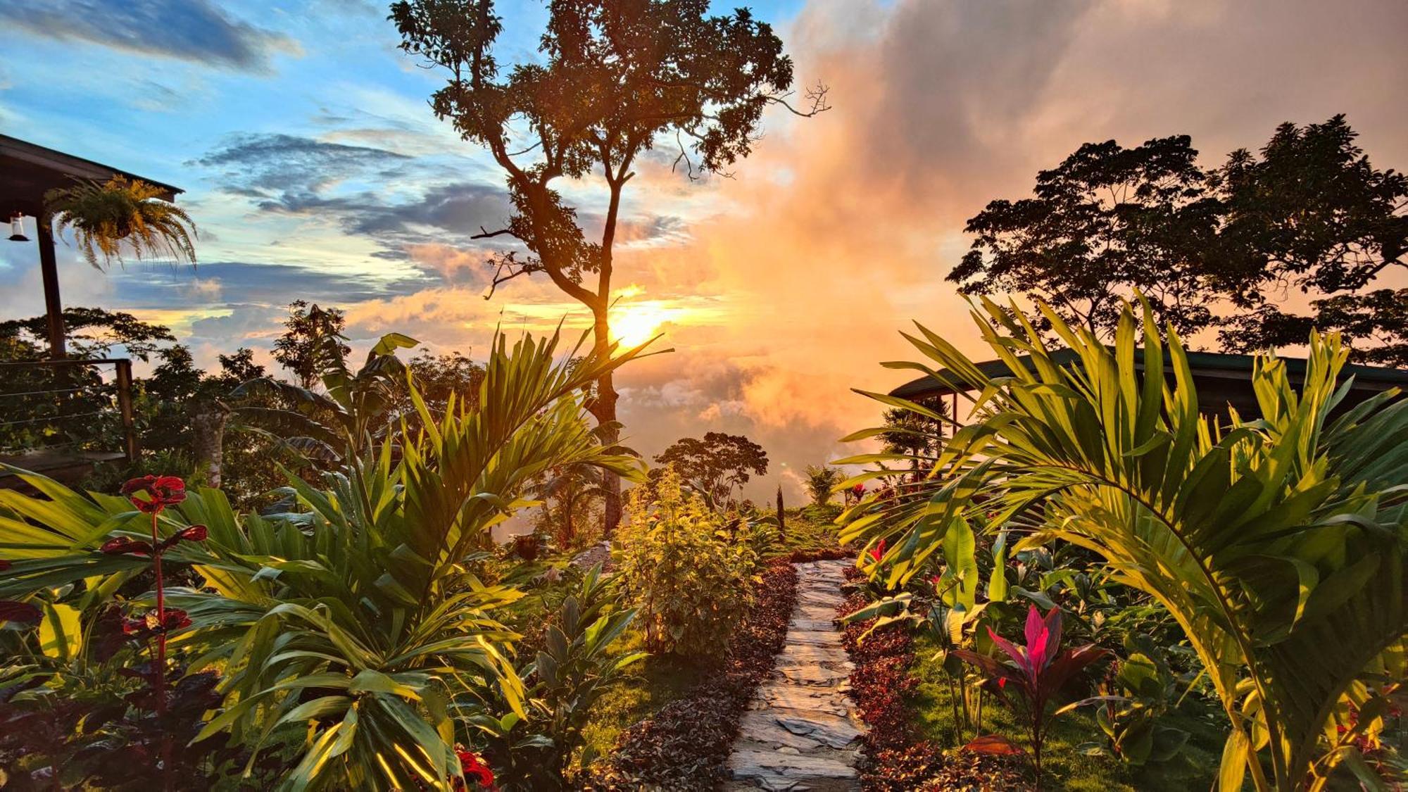 Minca Sintropia - Sustainable Lodge & Organic Coffee Finca エクステリア 写真