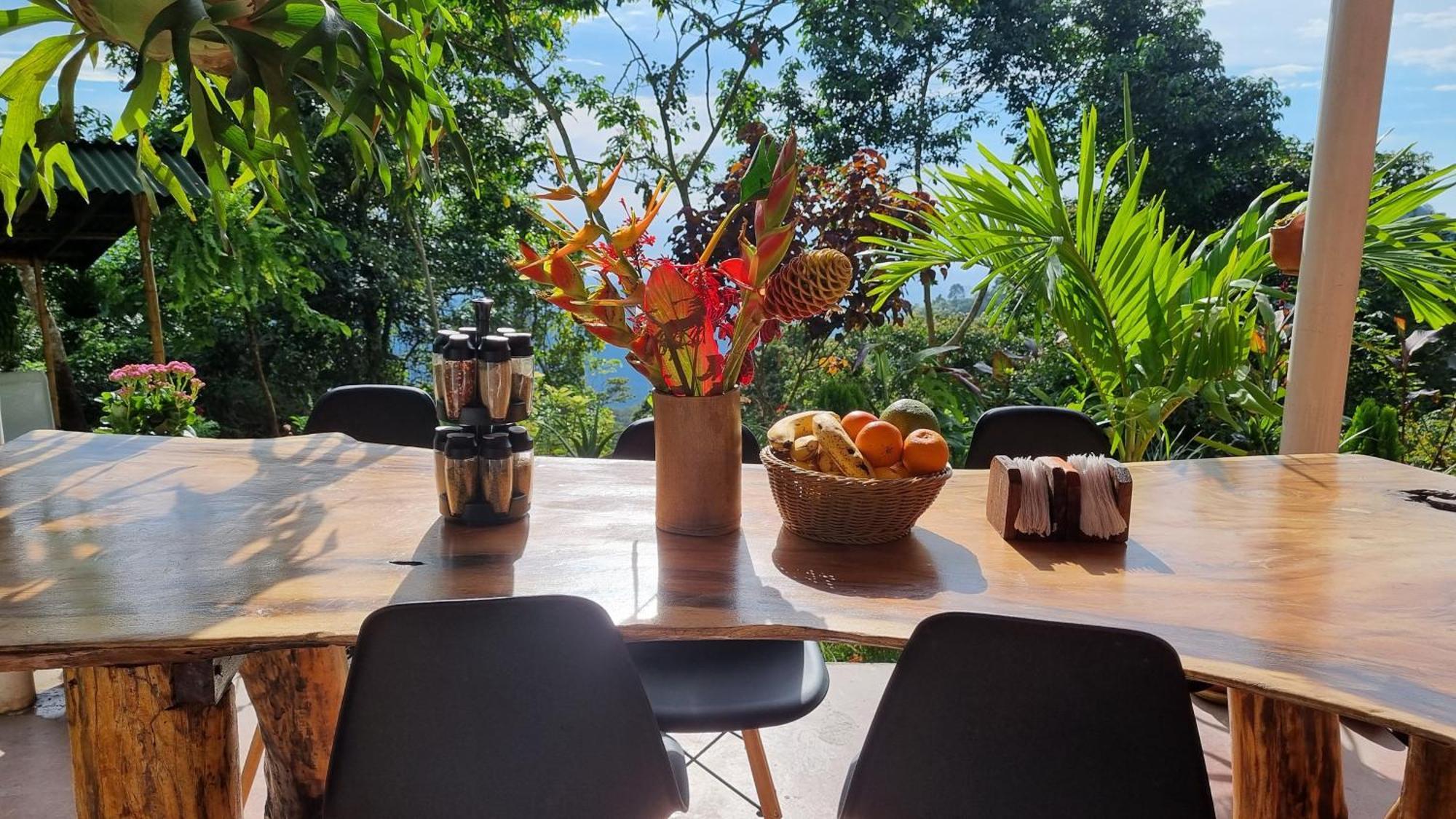 Minca Sintropia - Sustainable Lodge & Organic Coffee Finca エクステリア 写真