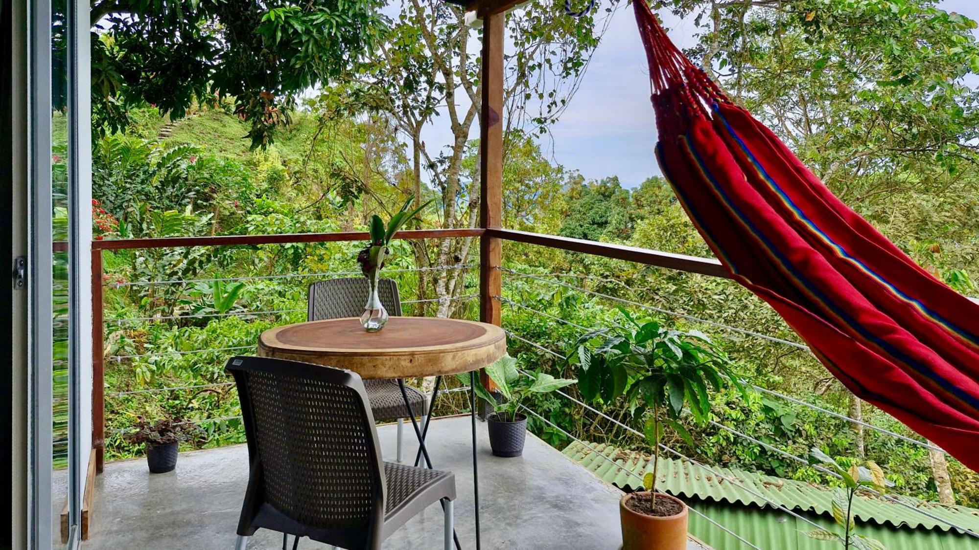Minca Sintropia - Sustainable Lodge & Organic Coffee Finca 部屋 写真
