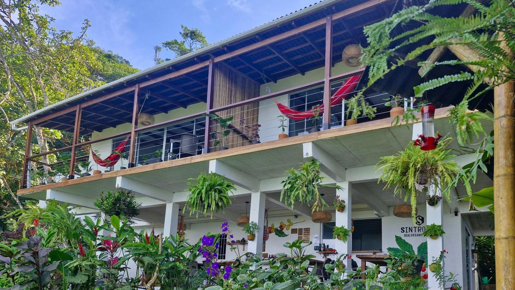 Minca Sintropia - Sustainable Lodge & Organic Coffee Finca 部屋 写真