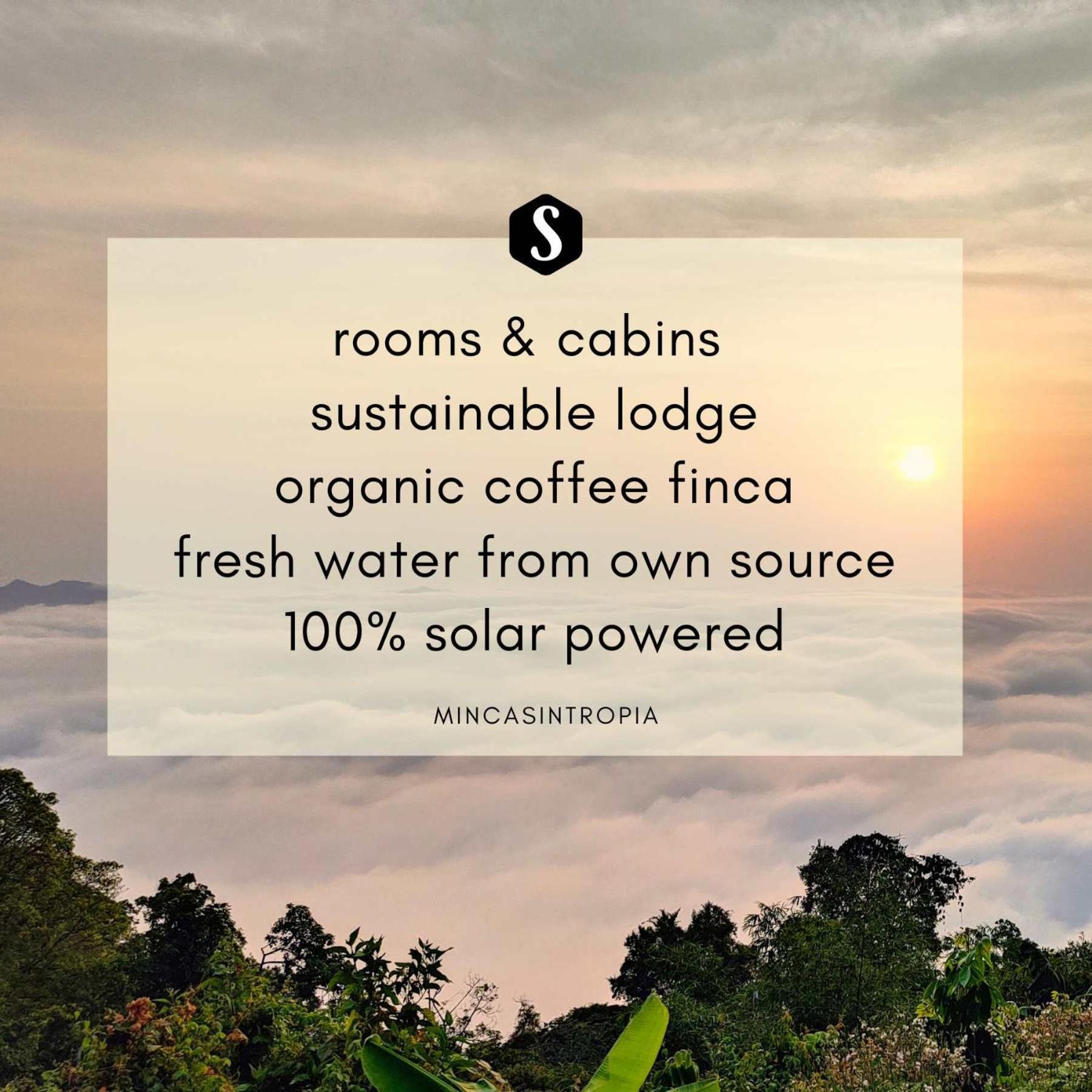 Minca Sintropia - Sustainable Lodge & Organic Coffee Finca エクステリア 写真