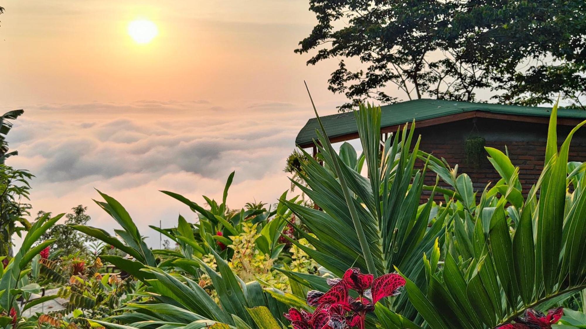 Minca Sintropia - Sustainable Lodge & Organic Coffee Finca エクステリア 写真