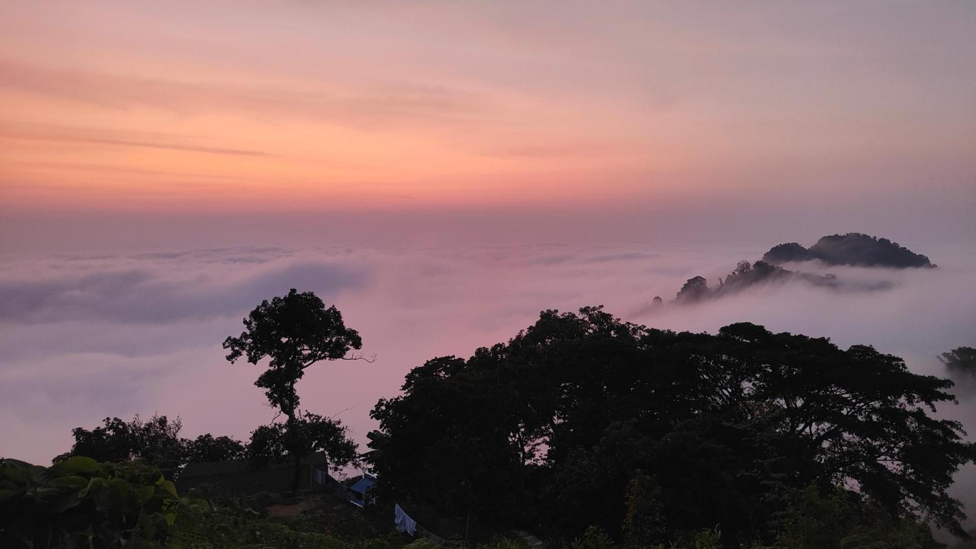Minca Sintropia - Sustainable Lodge & Organic Coffee Finca エクステリア 写真
